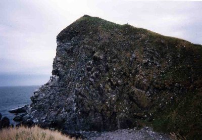ペシ岬。写真では見えないが、すごい数のウミネコがいる。