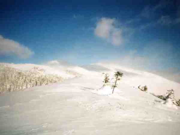 厳冬期の至仏山の斜面は最高のパウダーでした。