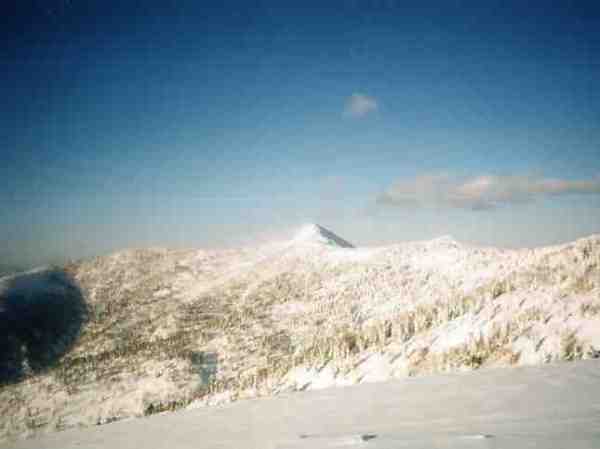 悪沢岳への稜線から見た笠ヶ岳。頂上からは雪煙が上がり、風が強そう。