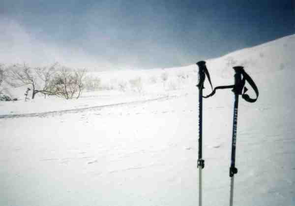 新雪の至仏の斜面。最高の滑降！