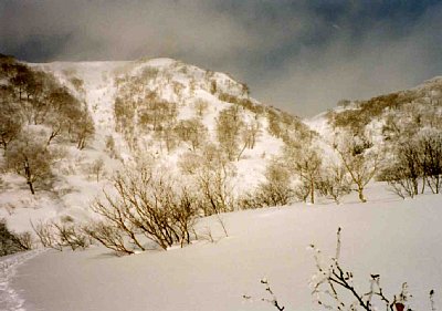 杉ノ原スキー場上部より三田原山へ登る。