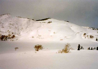 黒沢池は広々とした雪原。