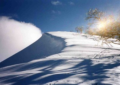 三田原山の雪庇。