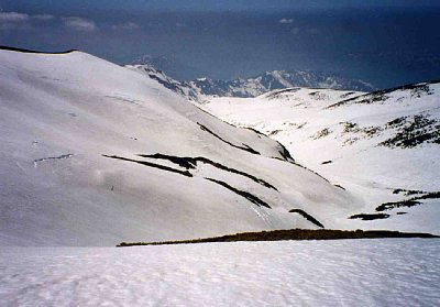 七倉山北面、滝川源頭。どの斜面も手つかずの素晴らしい斜面だ。