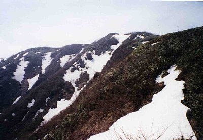 荒島岳上部には雪渓が残る。
