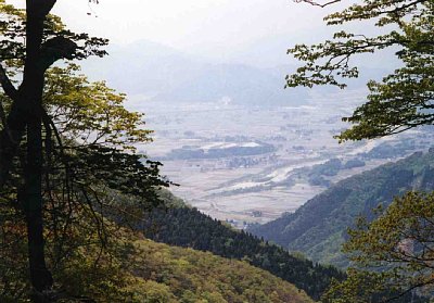 勝山の里は田植えの最盛期。