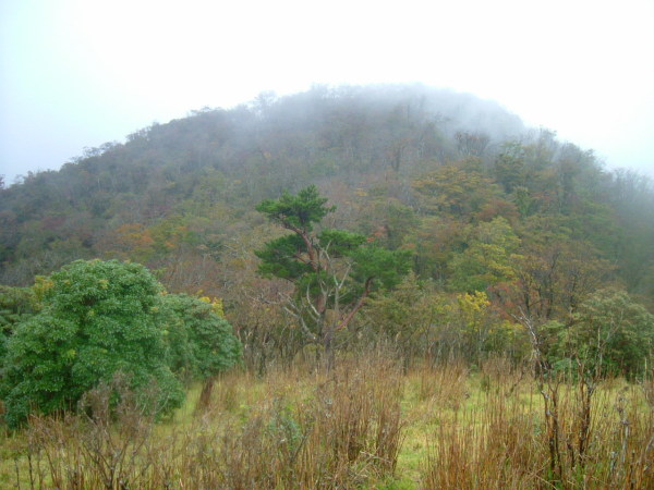 五葉山を望む。