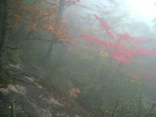 大崩山の紅葉。