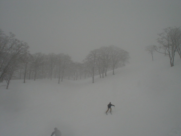 ブナ林ゲレンデもオープンしていました。