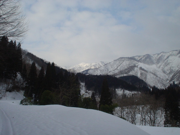浅又集落跡から金糞岳山頂を望む。