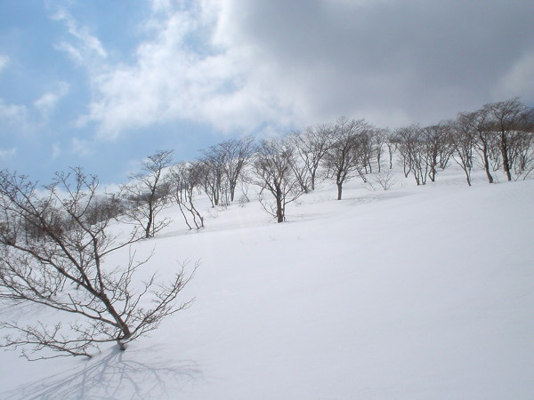 北尾根稜線上は広々とした雪原が広がる。