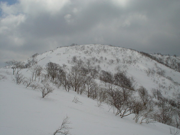金糞岳はなだらかなピーク、西側には良い斜面がいくつも取れそうだ。