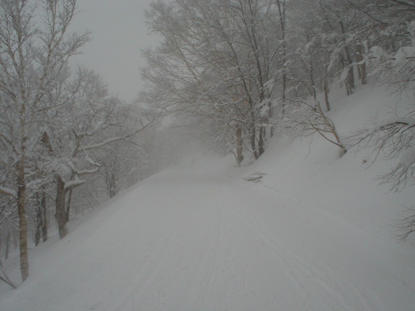栂池自然園への林道、昨晩は雪だったようだ。