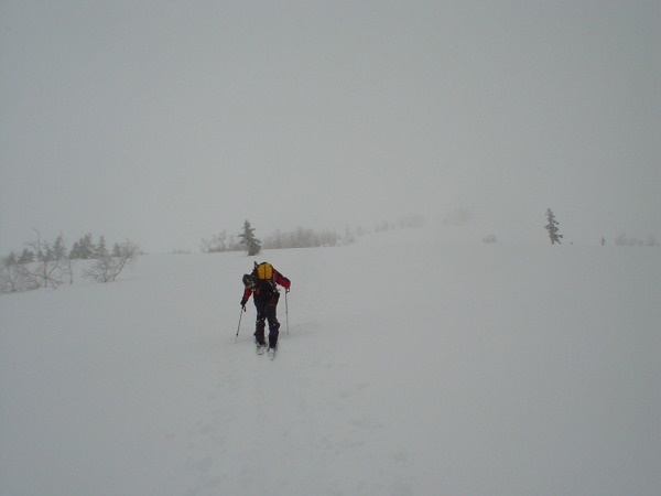 天狗原への登り。