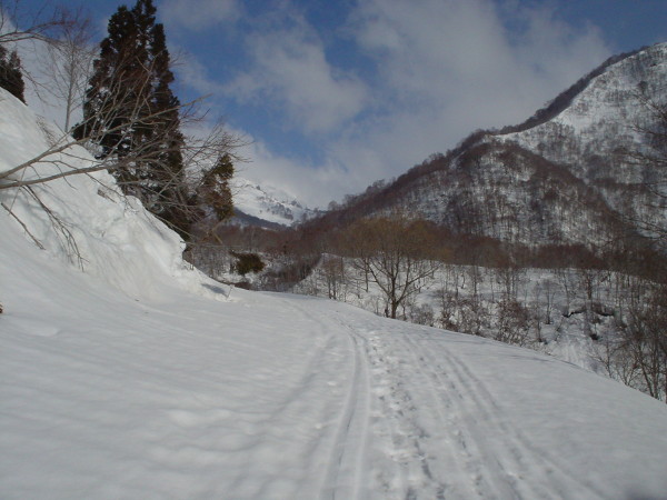 雨飾高原への林道。