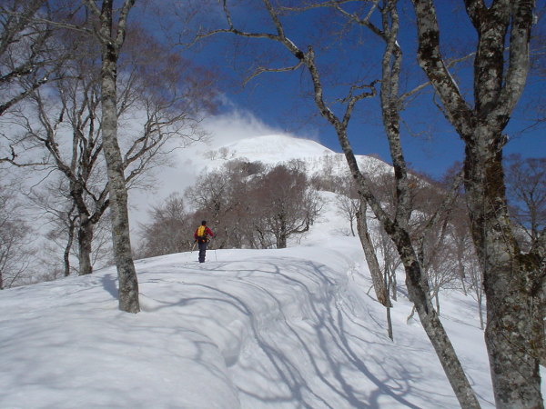 稜線を登る、P2の白さがまぶしい。