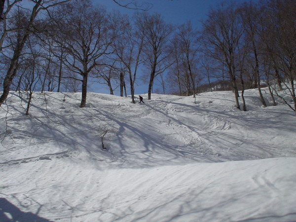 下部の雪はくさくさだ。