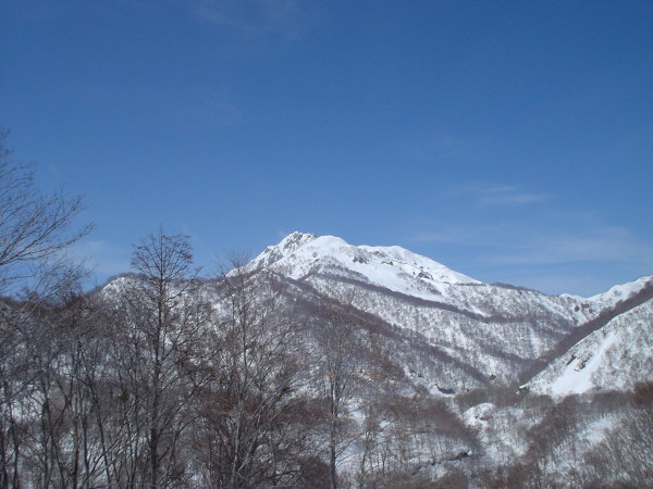 1210mピークから雨飾山を振り返る。