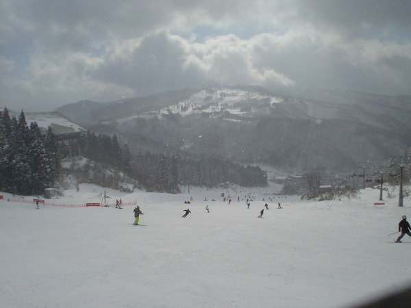 ウィングヒルズ白鳥スキー場に初滑りに行ってきました。