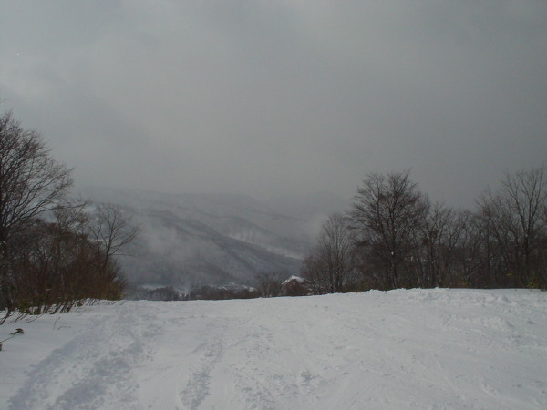 尾根沿いのコースはふかふかの新雪でした。
