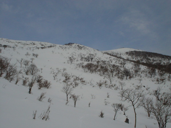 霊仙山南東斜面は鈴鹿の山とは思えない大滑降が楽しめる。