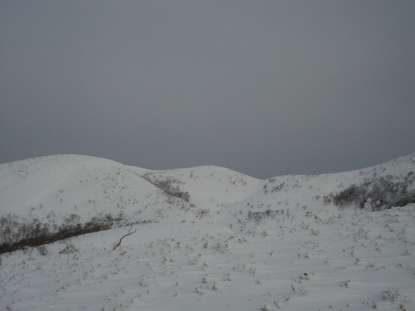 霊仙山山頂の雪原。