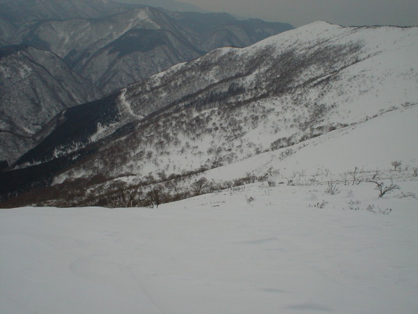 稜線から林道へ滑り込む。