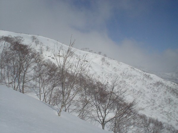 東尾根。