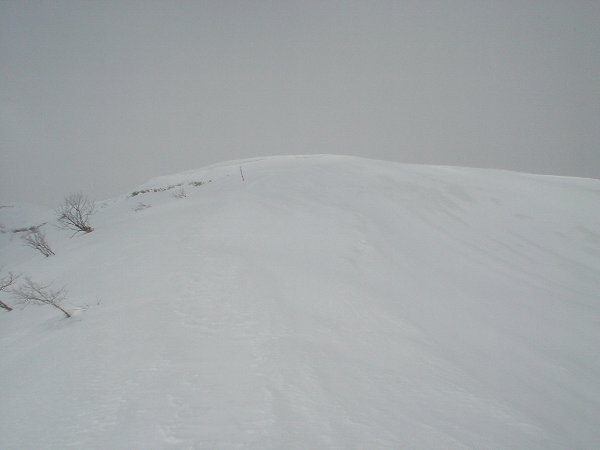 稜線には雪庇のようなものが…。