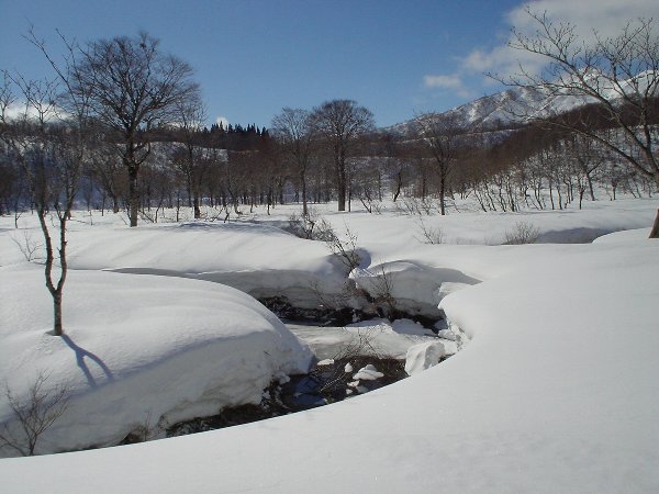 雪原は流水で分断されている。さながら迷路のよう。