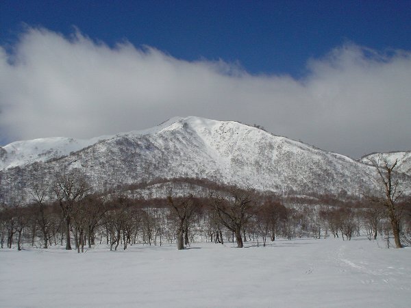 雪原より野伏ヶ岳の全容。