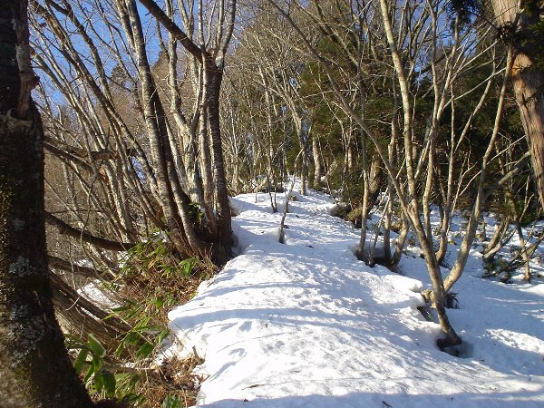 杉山への急登を登る。