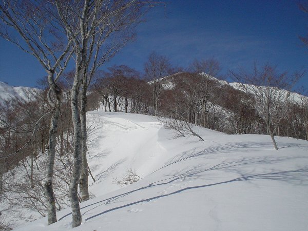 小白山（右奥）まではまだまだ遠い。