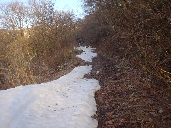 林道下部はかなり雪が溶けた。
