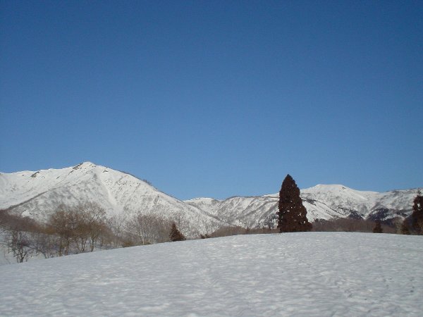 牧場跡から見た野伏ヶ岳（左）と薙刀山（右）。