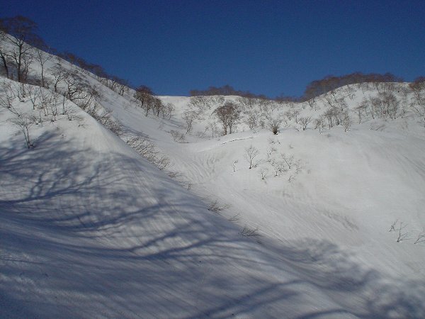 推高谷（1370m出合）に降りる。