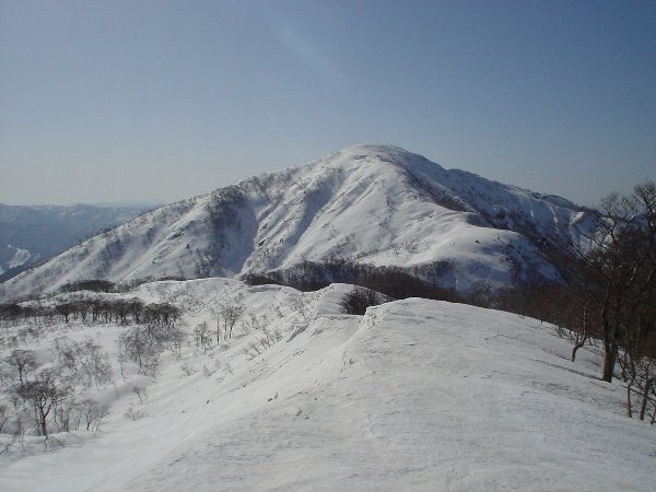 野伏ヶ岳方面を振り返る。