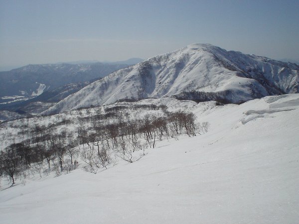 山頂直下のなだらかな斜面と野伏ヶ岳。