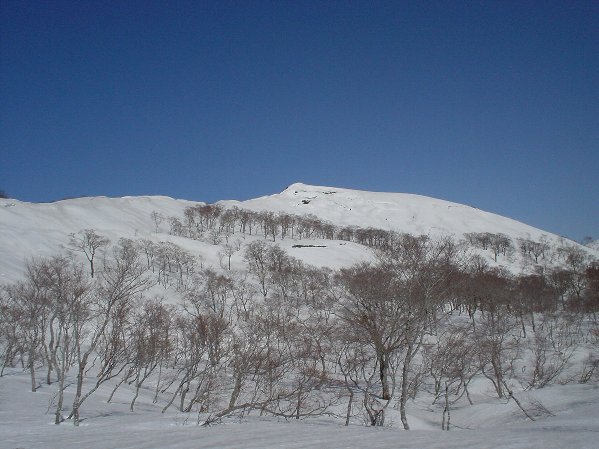 薙刀山を振り返る。