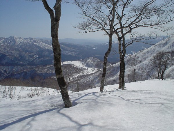 牧場跡まで滑降！