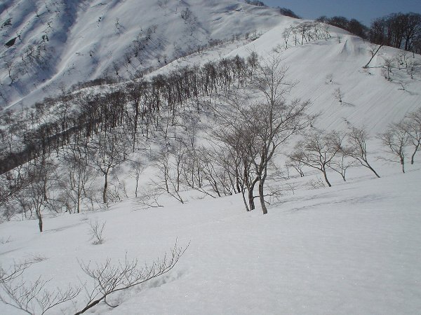 稜線直下の好斜面。