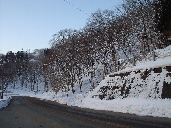 R156から登り始める。