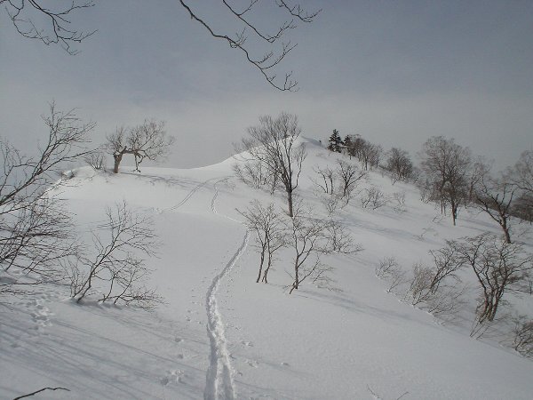 山頂まであと一息。