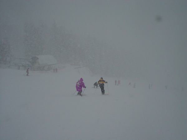 みるみる雪が積もる。