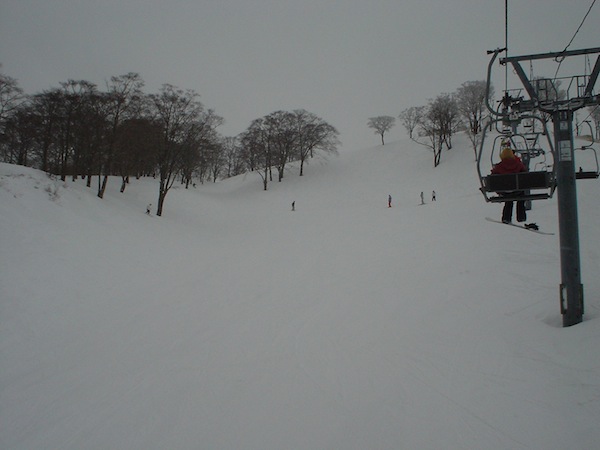 ブナ林コースもオープンしていました。