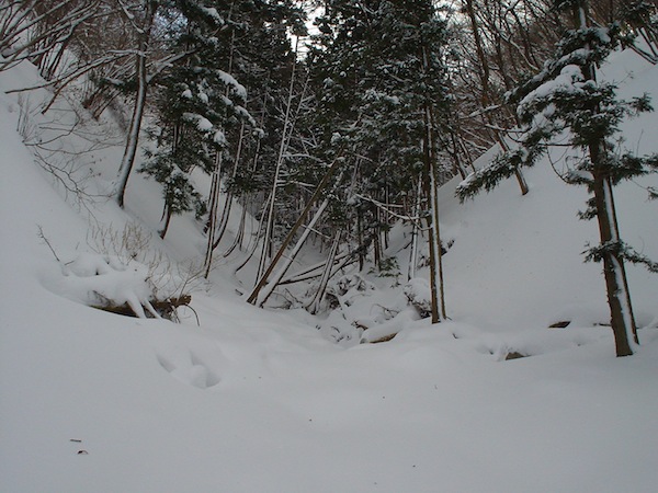 コグルミ谷も随分雪で埋まった。