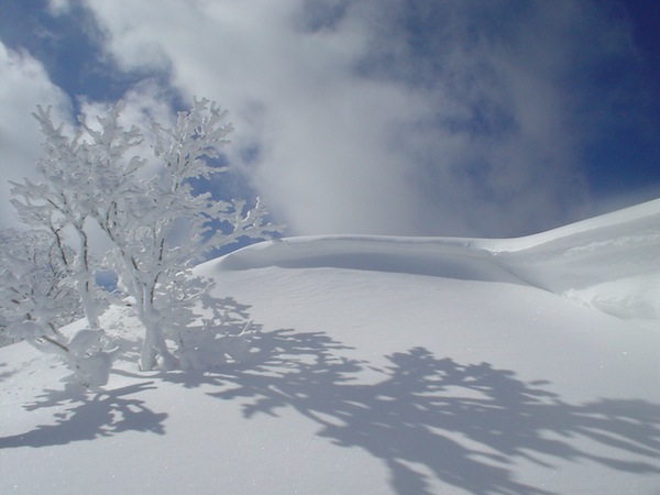 御池岳稜線の雪庇（1200m）。