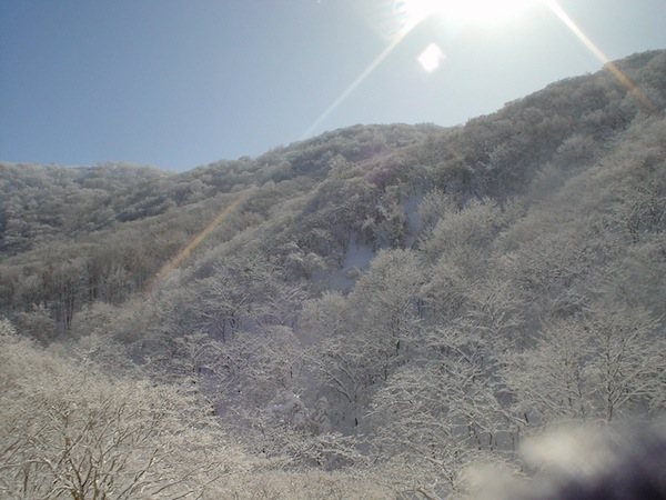 御池岳の鞍部から山頂方面を振り返る。