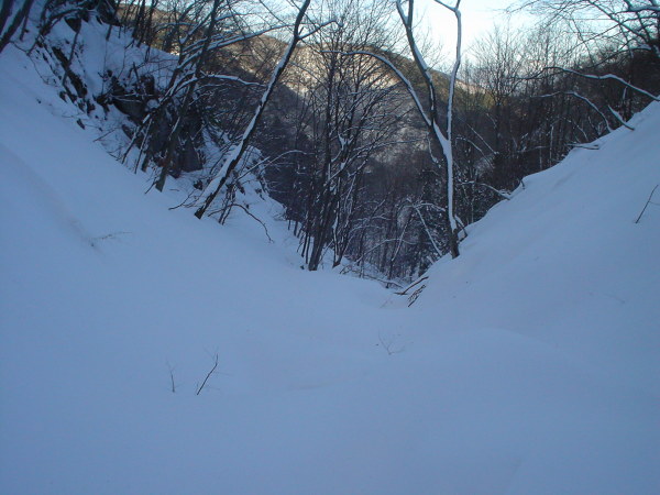 コグルミコグルミ谷まで滑り降りた。谷は前回（1/10）よりも雪で埋まっており、登山口まで楽に滑ることができた。