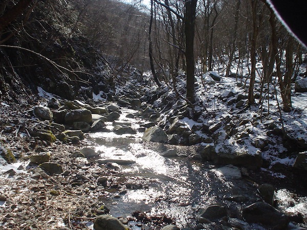 千種街道と分かれ、奥の畑谷を遡る。